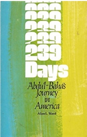 Book - 239 Days